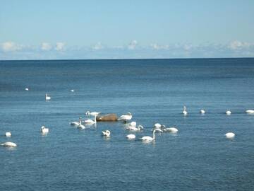 Фото Кемпинги Seaside camping Bralisi г. Энгуре 4